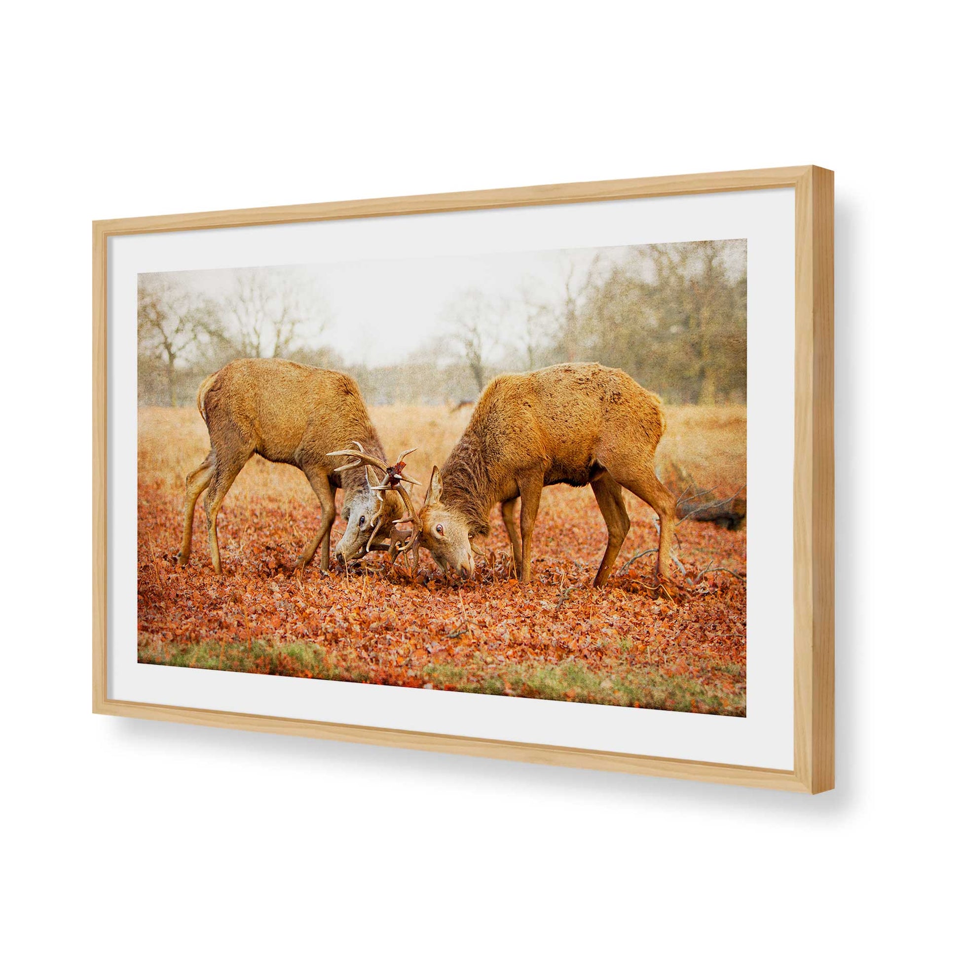 [Color:American Maple], Picture of art in a American Maple frame of the corner