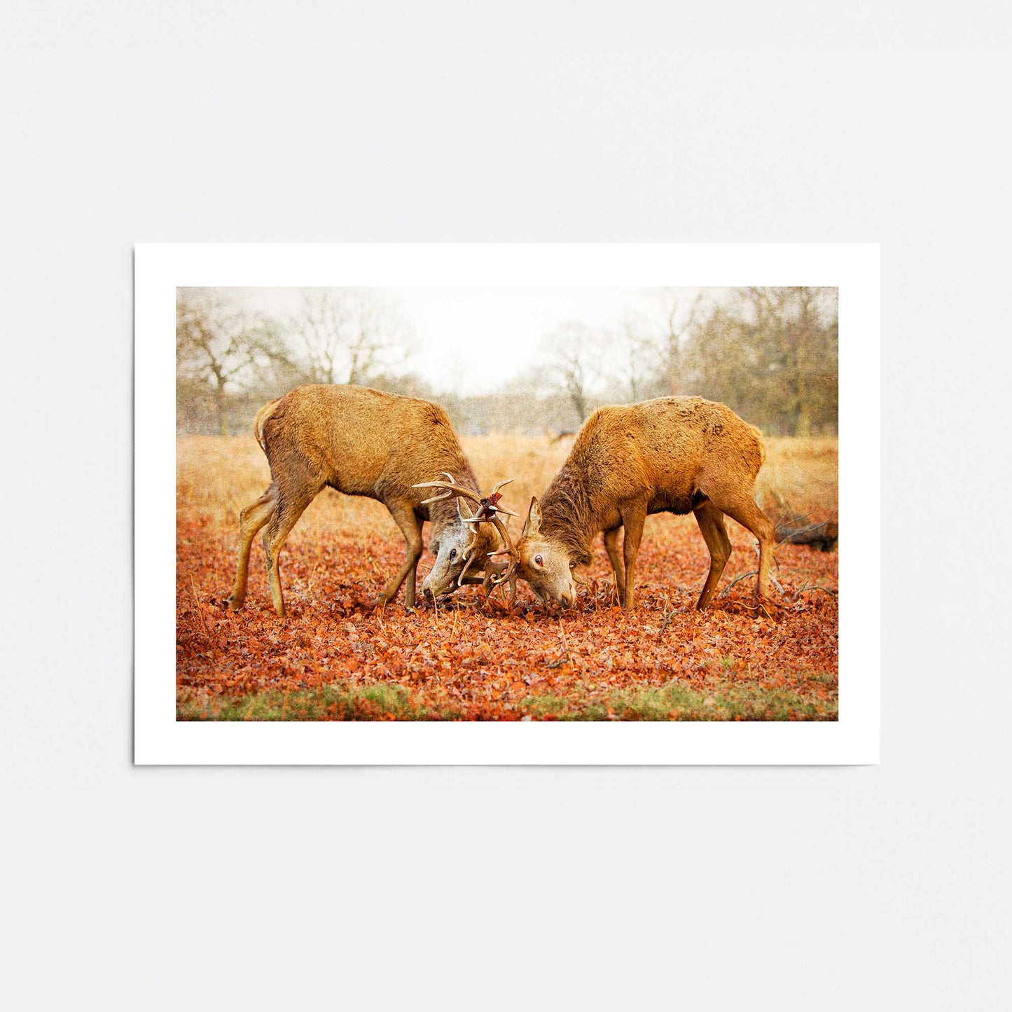 [Color:Rolled Print], Picture of close up of art