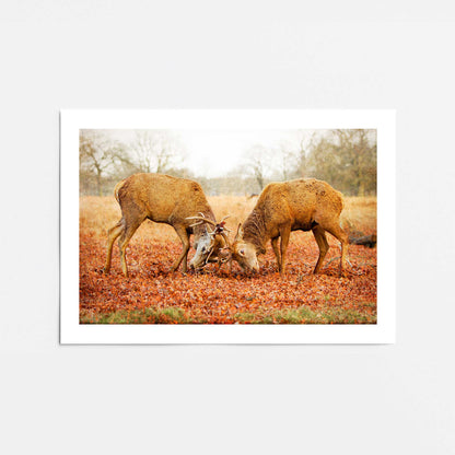 [Color:Rolled Print], Picture of close up of art