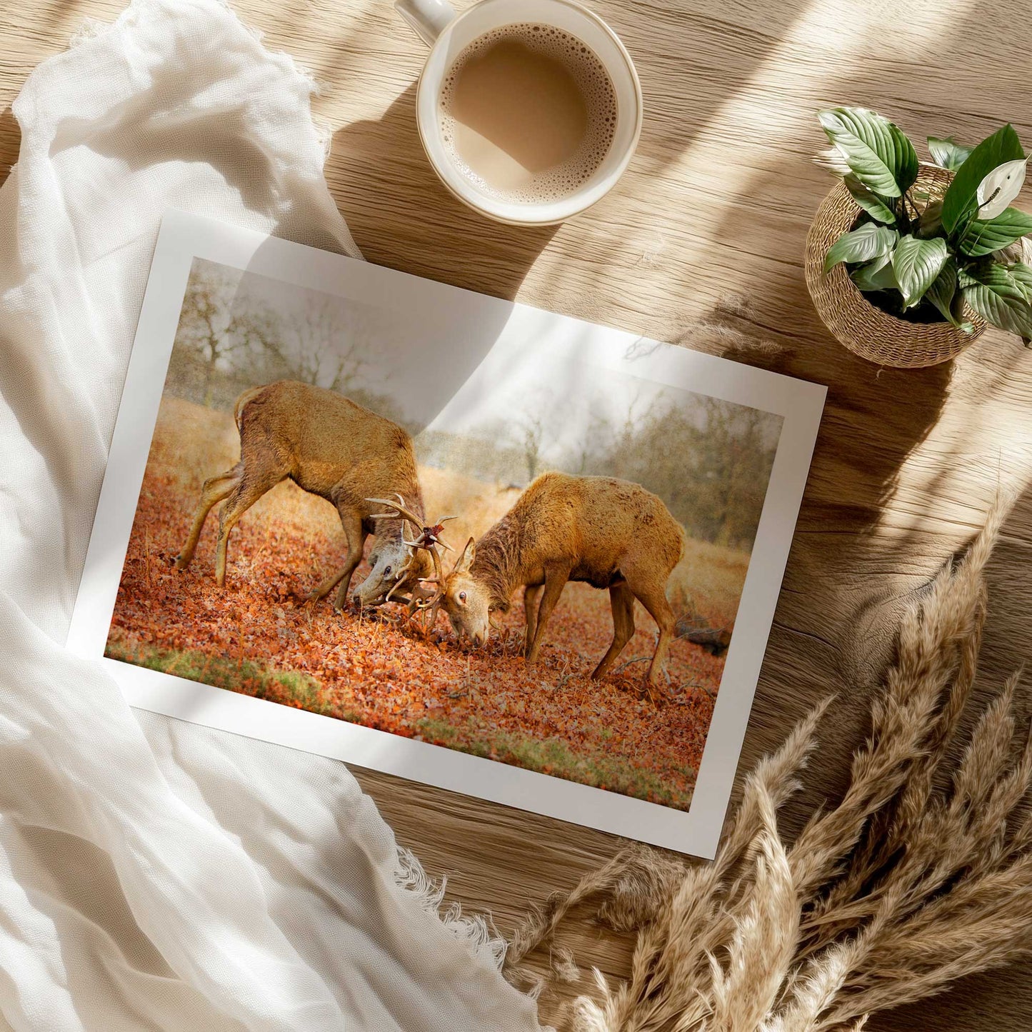 [Color:Rolled Print], Picture of close up of art