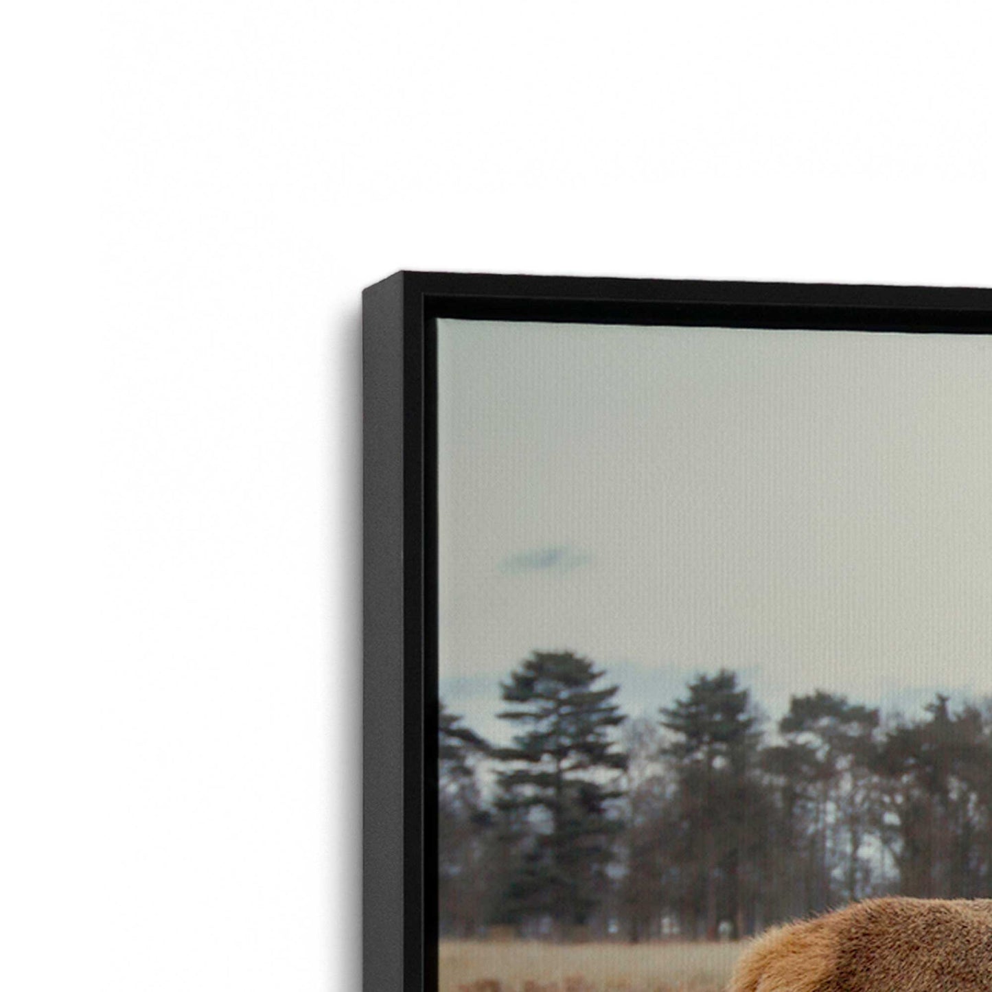 [Color:Satin Black], Picture of art in a Satin Black frame at an angle