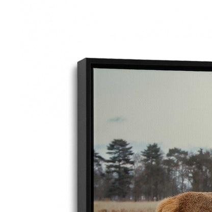 [Color:Satin Black], Picture of art in a Satin Black frame at an angle