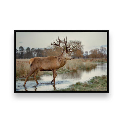 [Color:Satin Black], Picture of art in a Satin Black frame