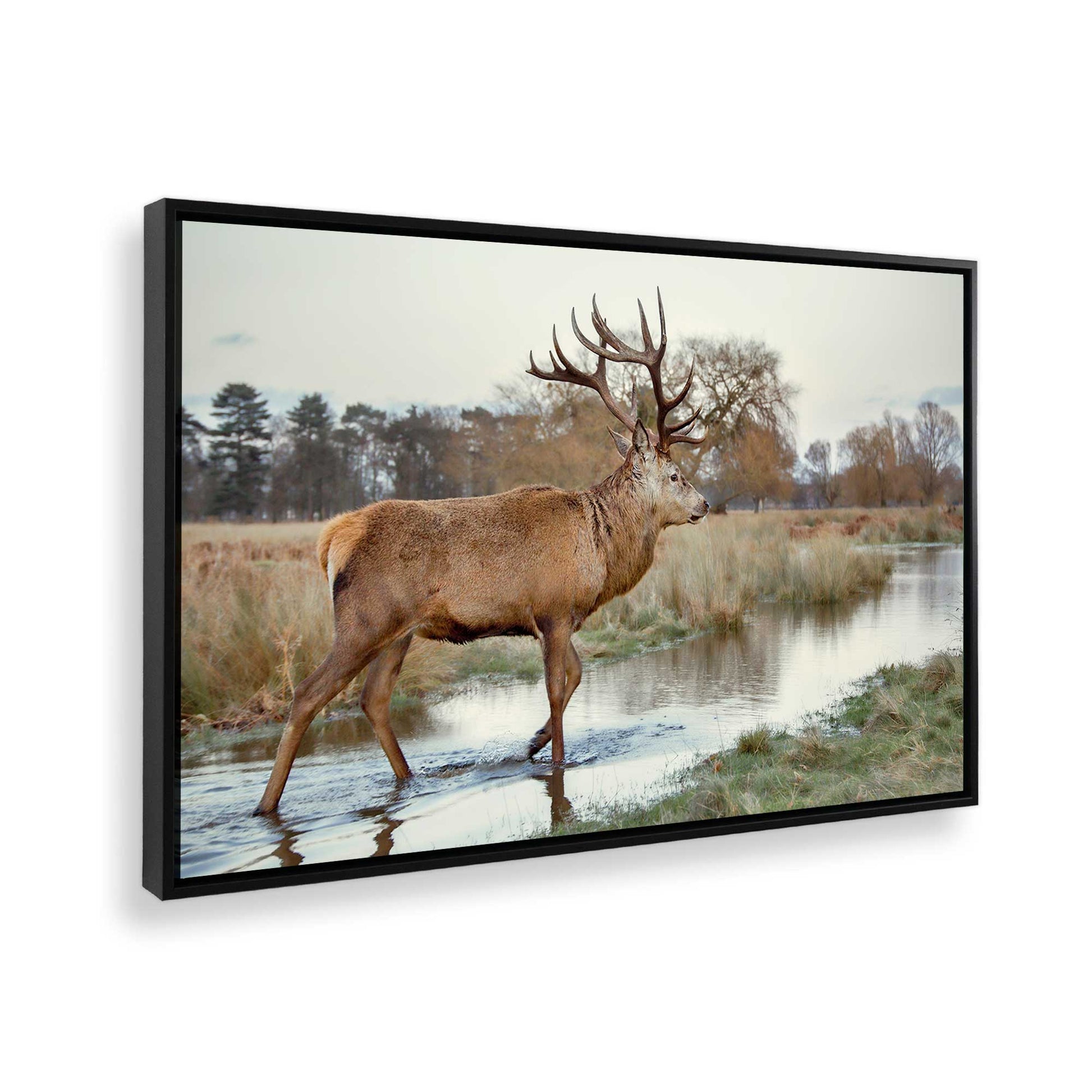 [Color:Satin Black], Picture of the corner of the art