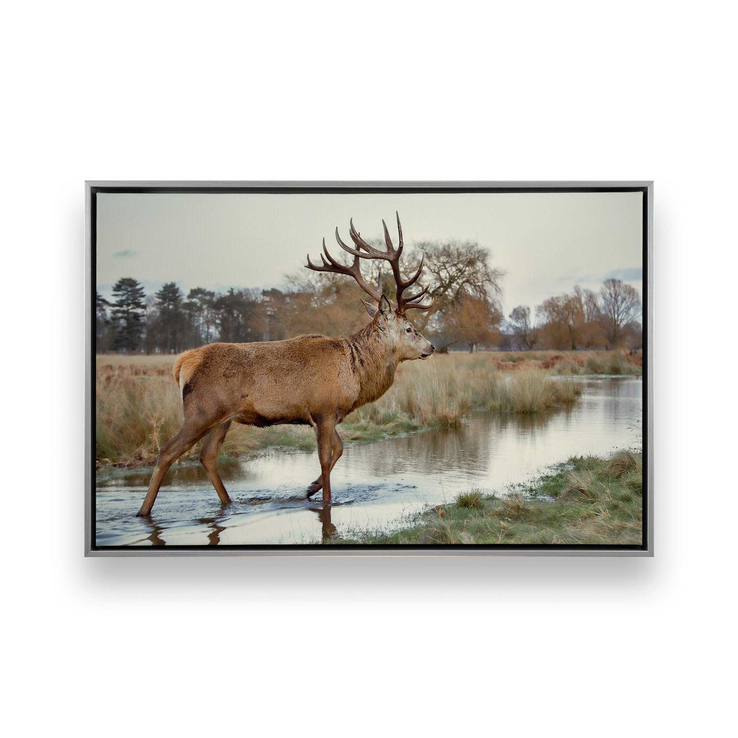 [Color:Polished Chrome], Picture of art in a Polished Chrome frame