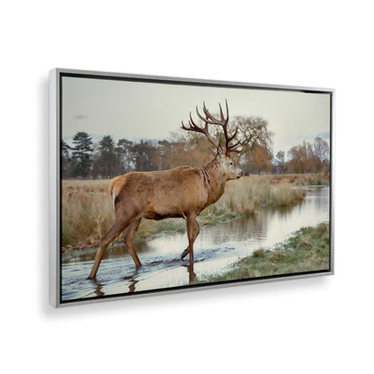 [Color:Polished Chrome], Picture of the corner of the art