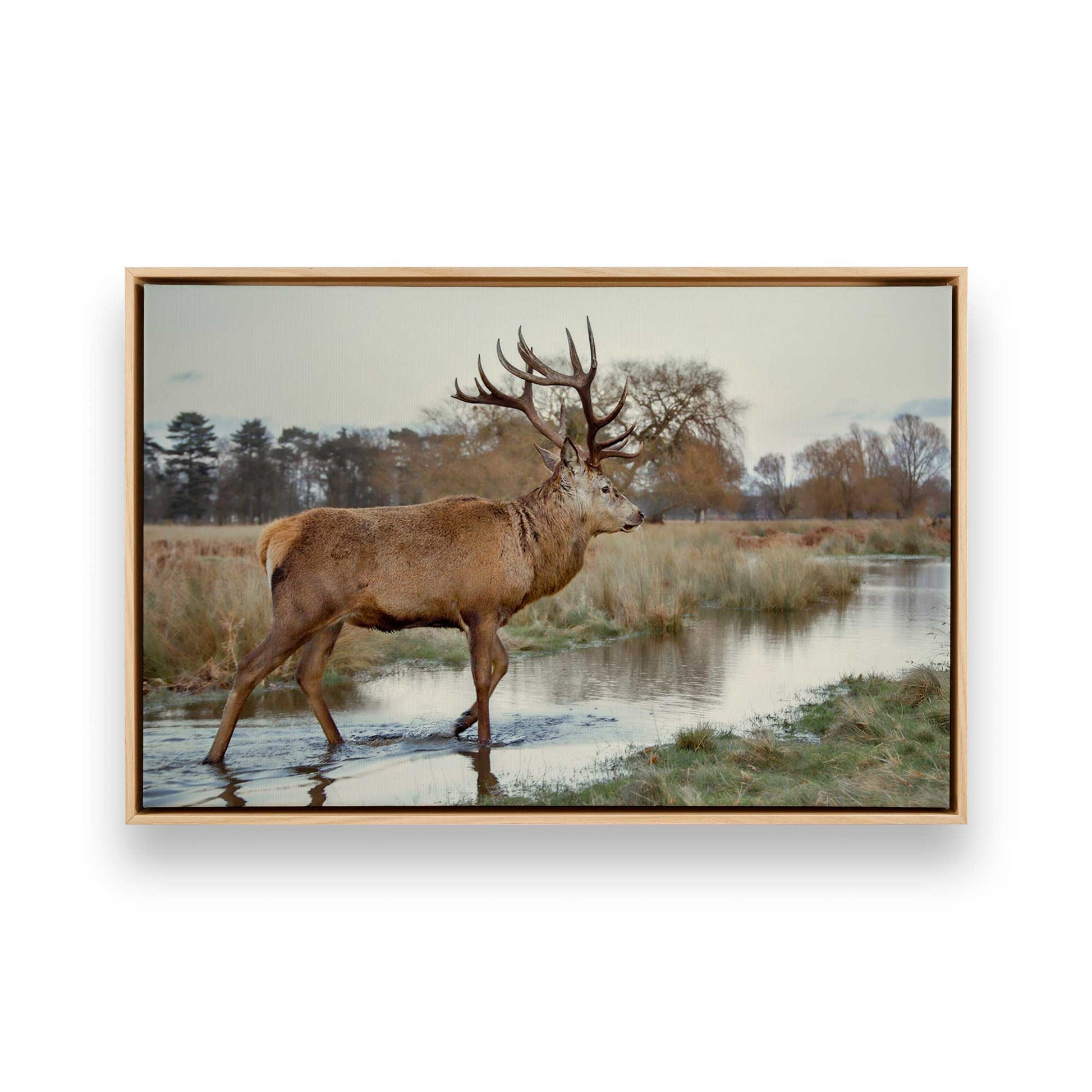 [Color:American Maple], Picture of art in a American Maple frame