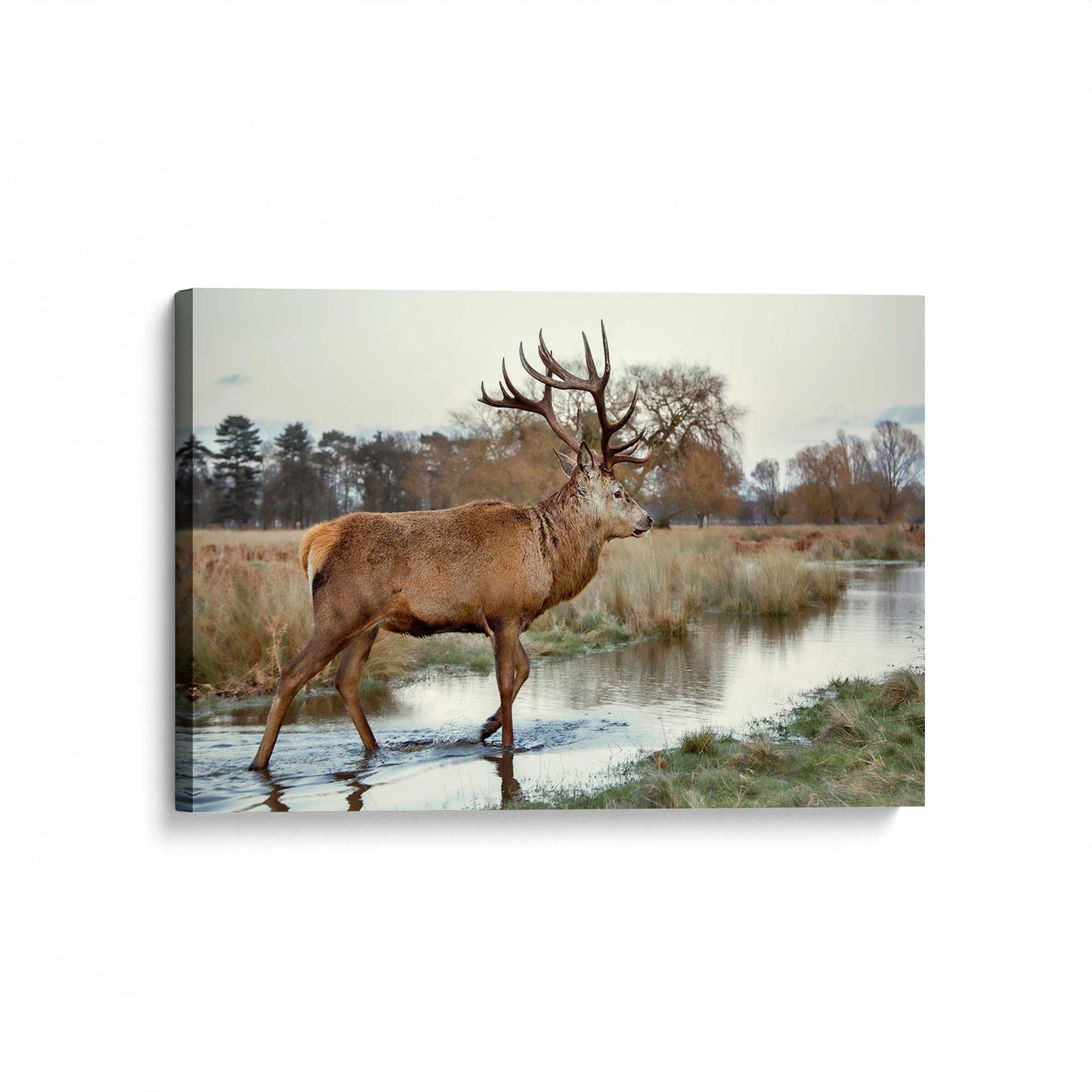 [Color:Stretched Canvas], Picture of art at an angle