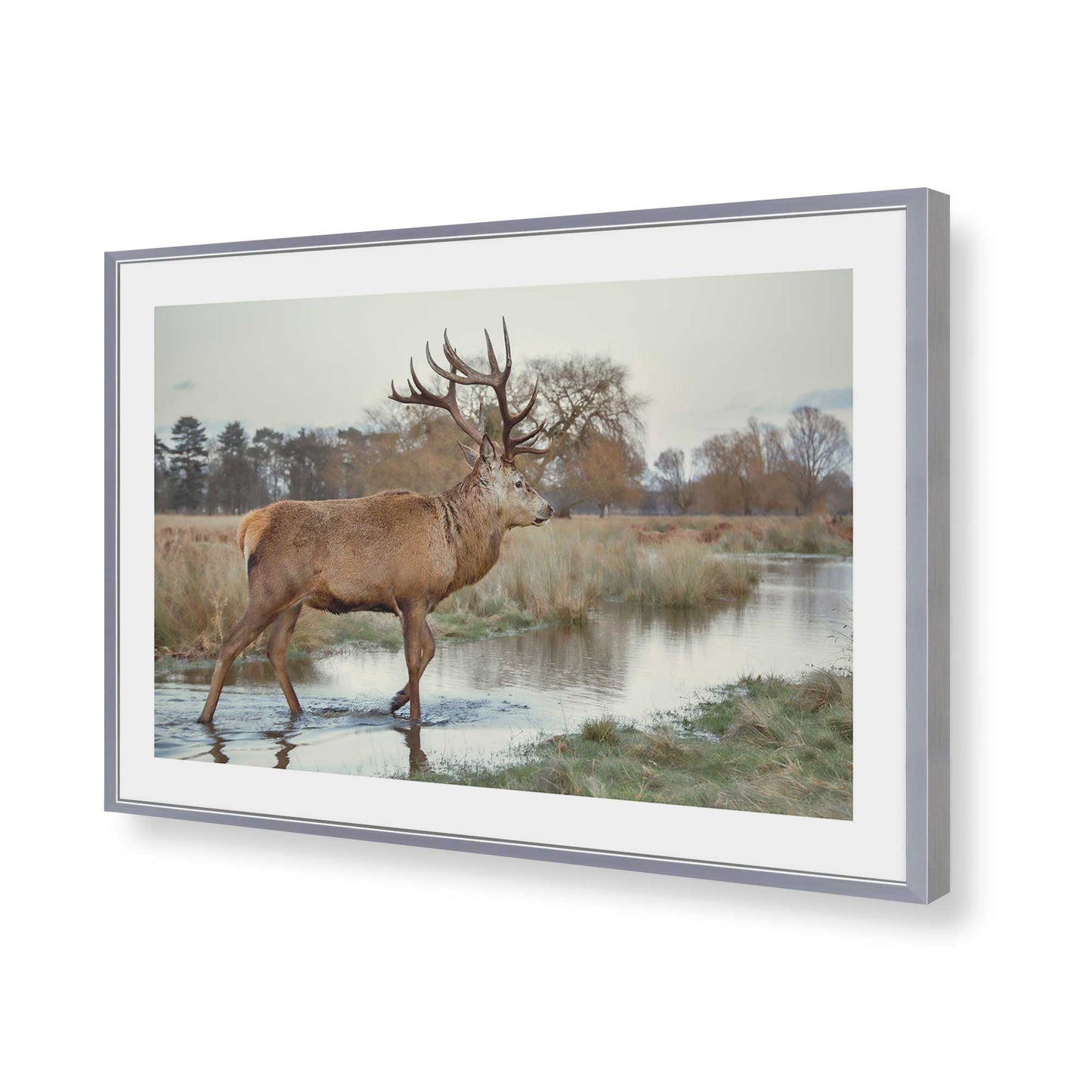 [Color:Polished Chrome], Picture of art in a Polished Chrome frame of the corner