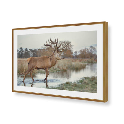 [Color:Polished Gold], Picture of art in a Polished Gold frame of the corner