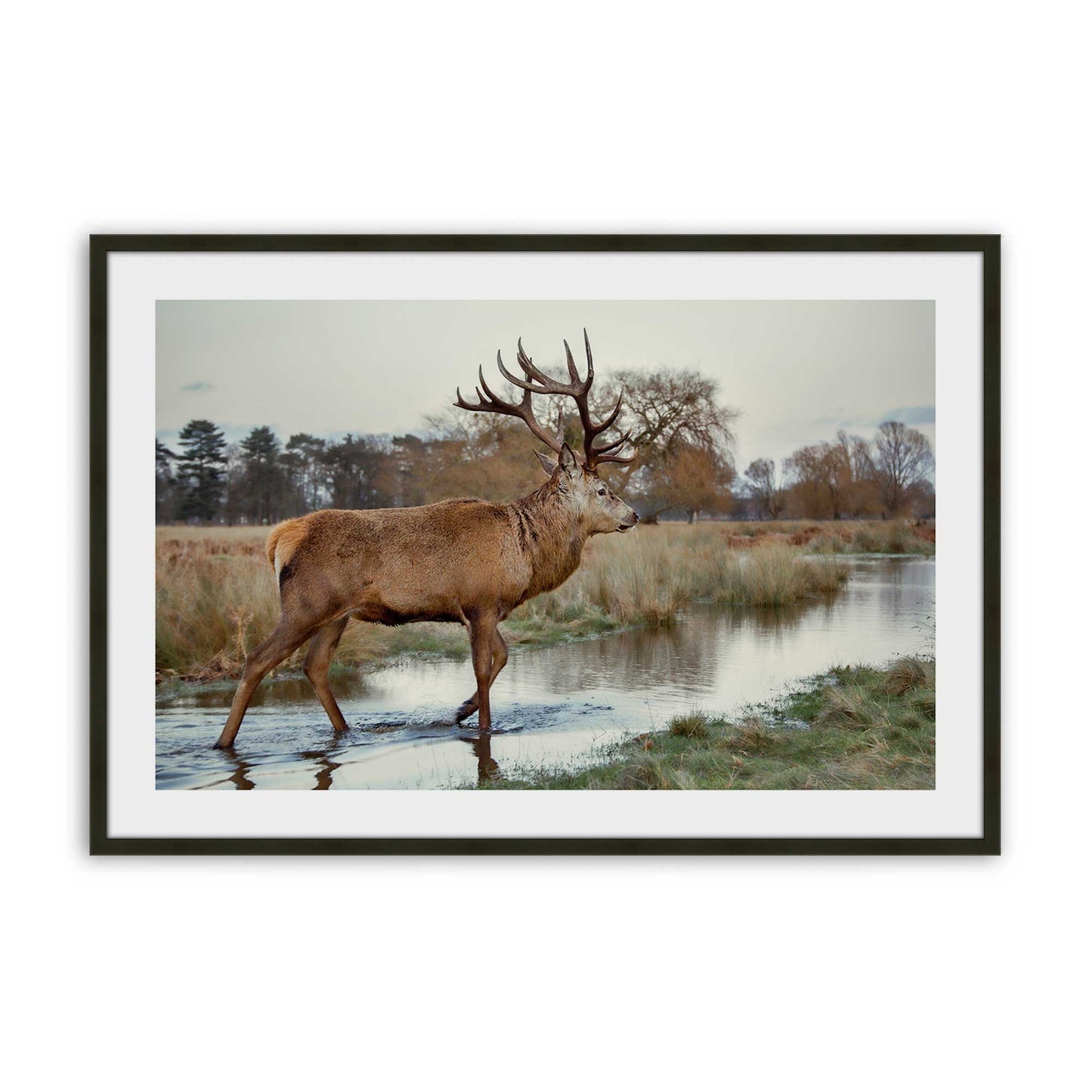 [SPECIAL],[Color:Satin Black],