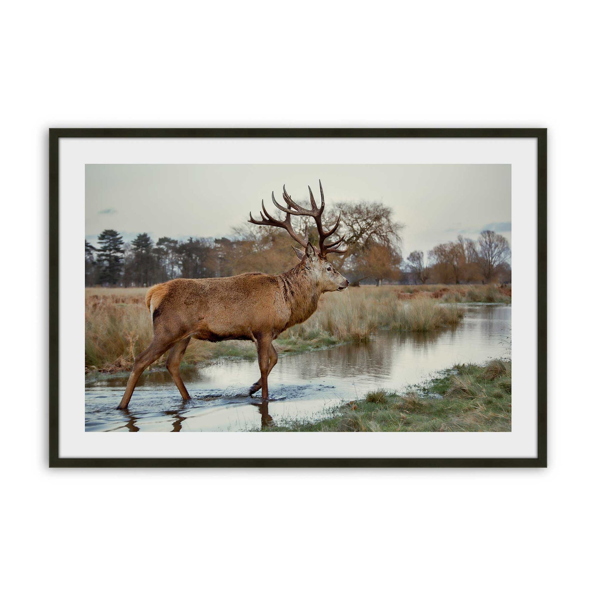 [SPECIAL],[Color:Satin Black],