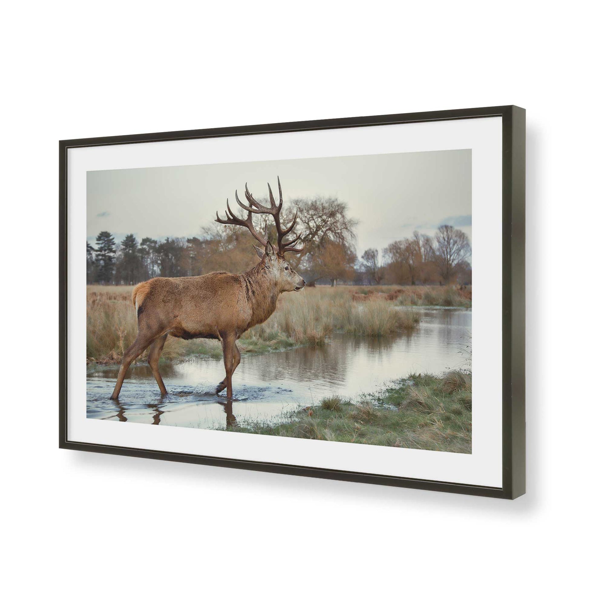 [Color:Satin Black], Picture of art in a Satin Black frame of the corner