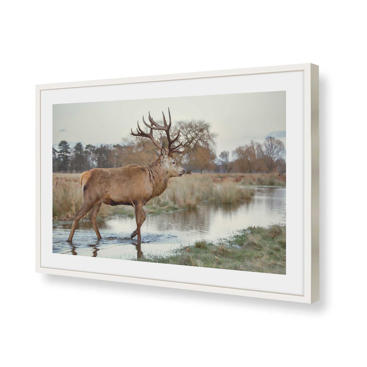 [Color:Opaque White], Picture of art in a Opaque White frame of the corner