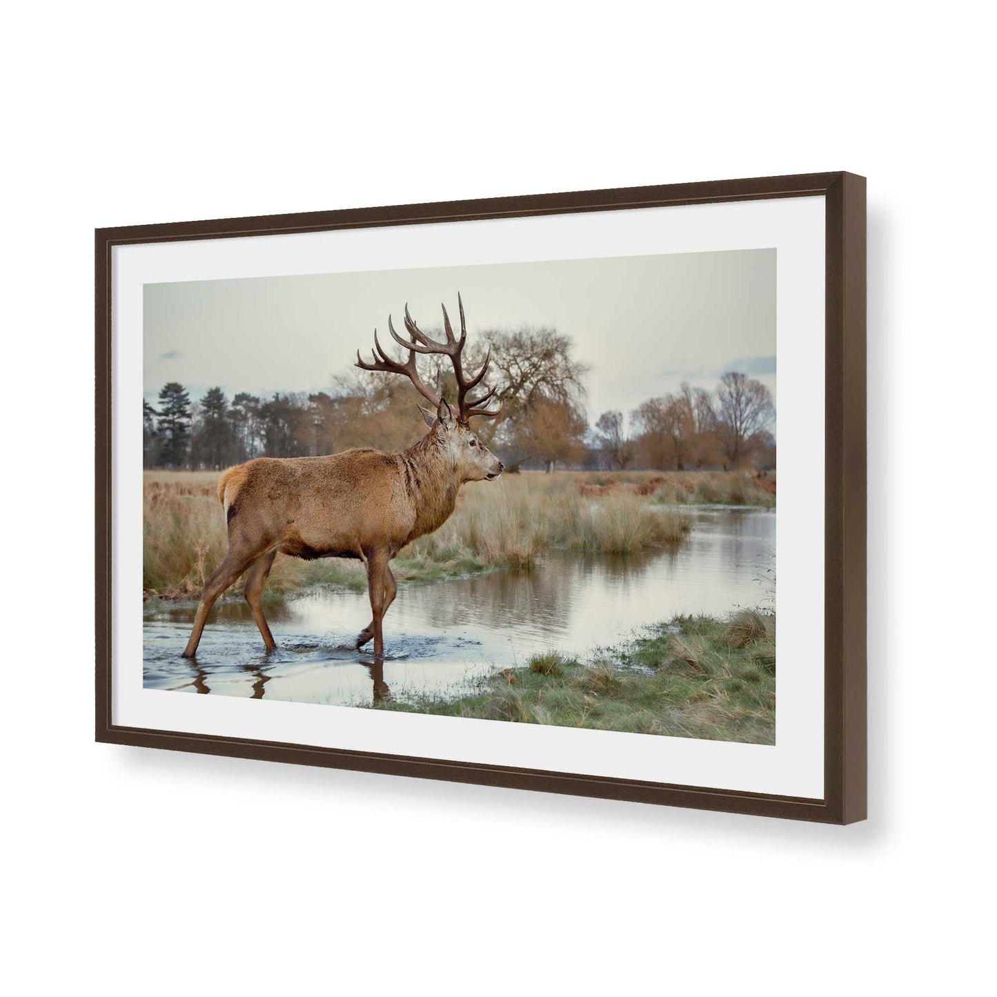 [Color:Belvinder Brown], Picture of art in a Belvinder Brown frame of the corner
