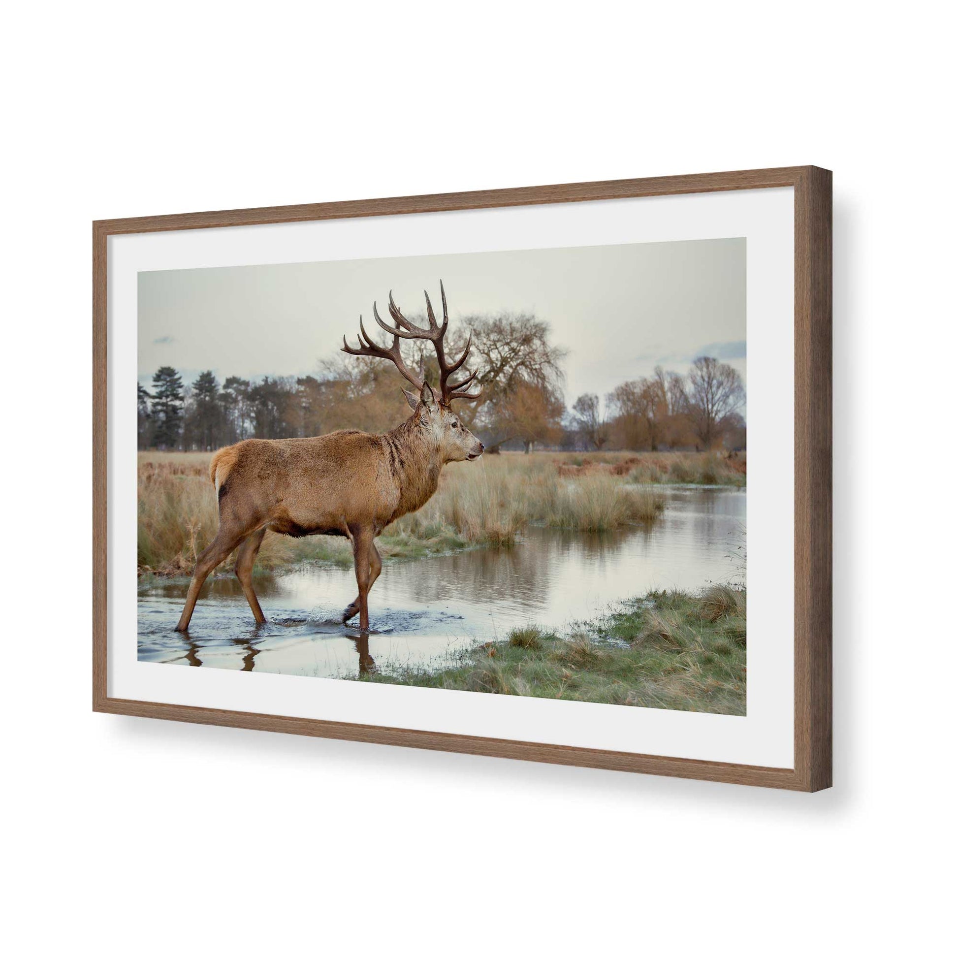 [Color:Walnut], Picture of art in a Walnut frame of the corner