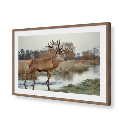 [Color:Walnut], Picture of art in a Walnut frame of the corner