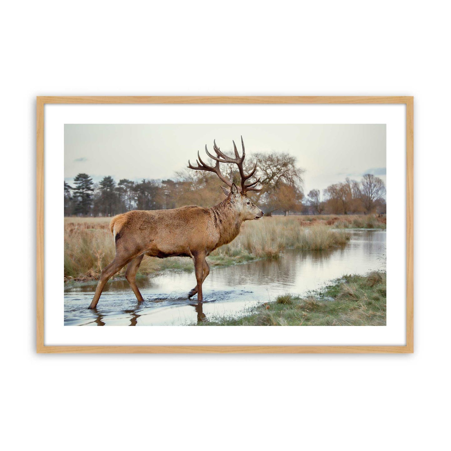 [Color:American Maple], Picture of art in a American Maple frame