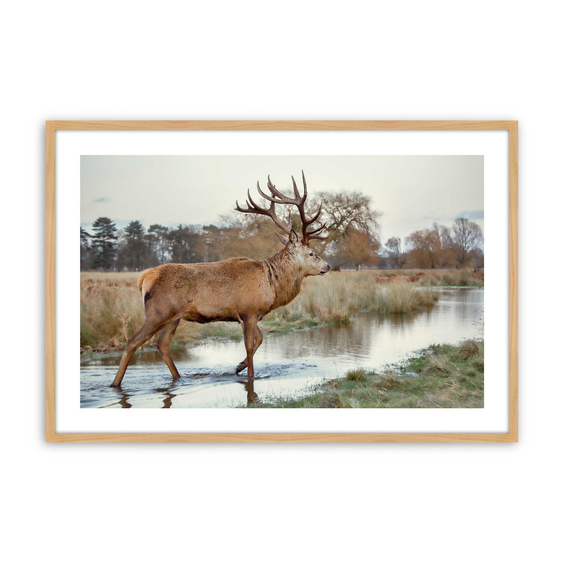 [Color:American Maple], Picture of art in a American Maple frame