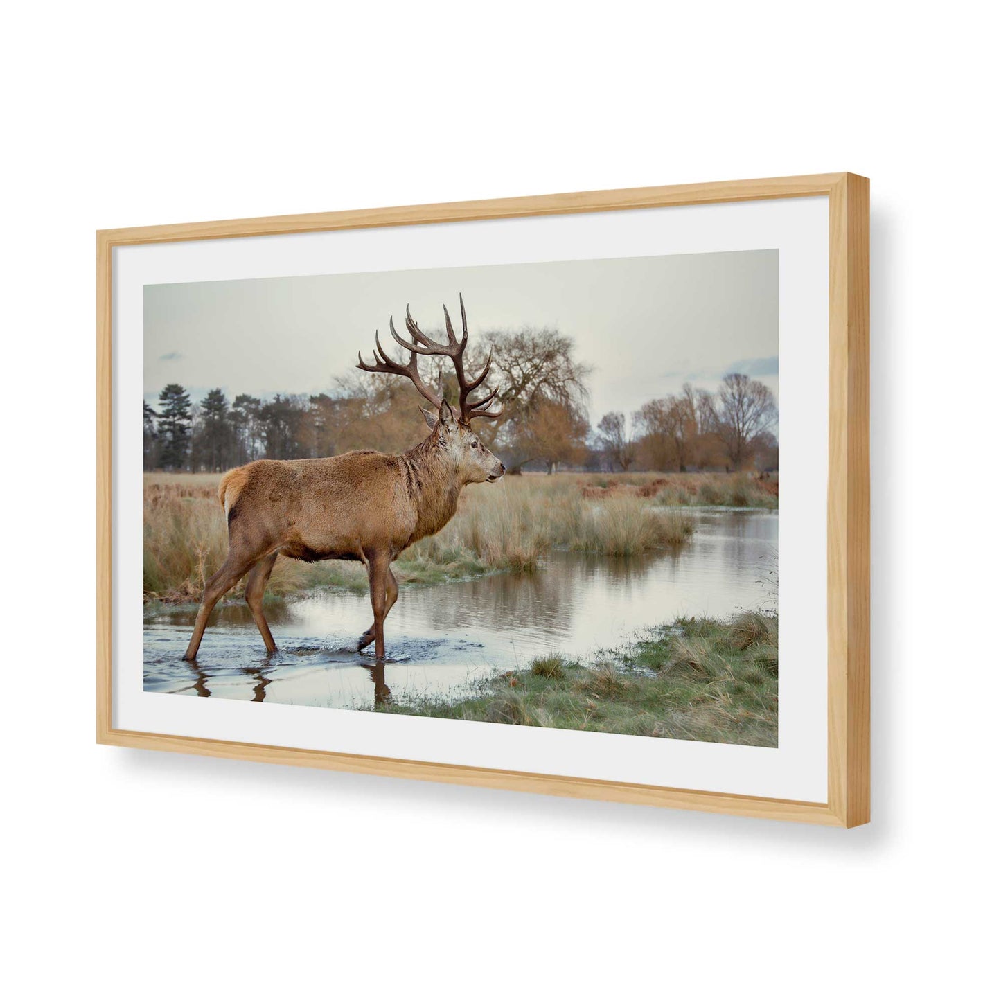 [Color:American Maple], Picture of art in a American Maple frame of the corner