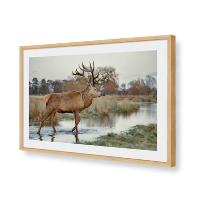 [Color:American Maple], Picture of art in a American Maple frame of the corner