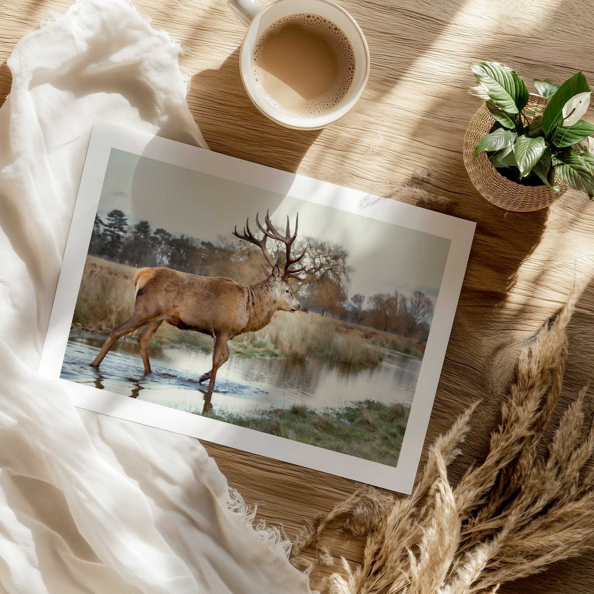 [Color:Rolled Print], Picture of close up of art