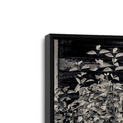 [Color:Satin Black], Picture of art in a Satin Black frame at an angle