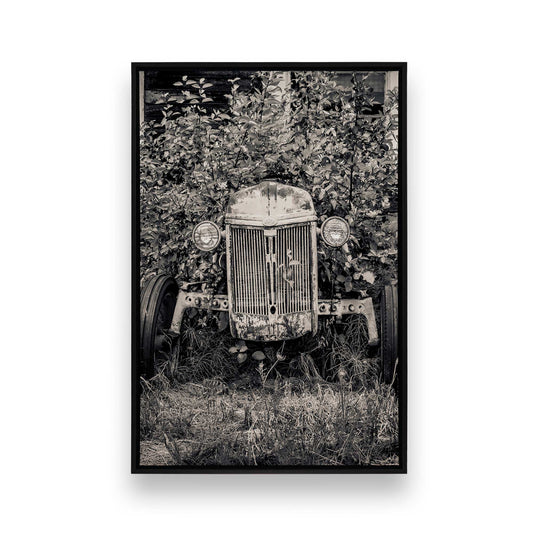 [SPECIAL],[Color:Satin Black],