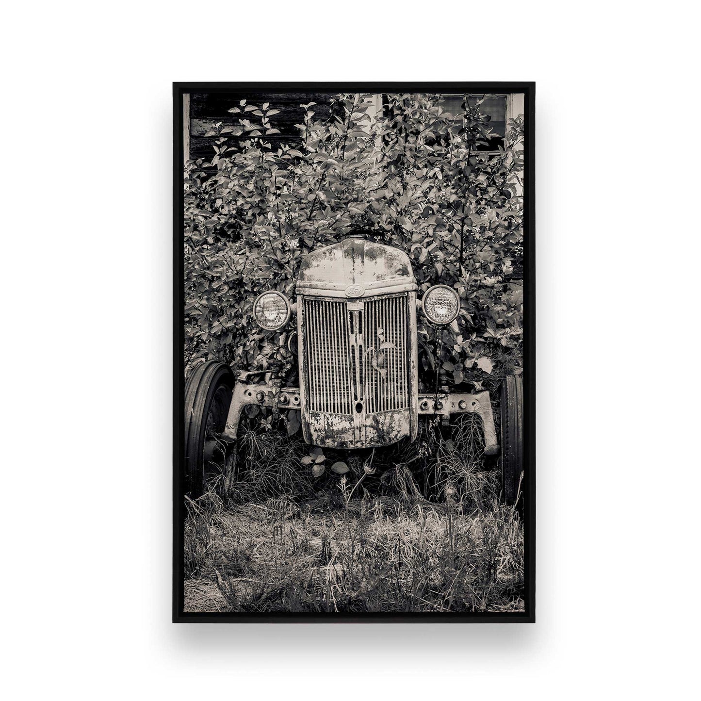 [Color:Satin Black], Picture of art in a Satin Black frame