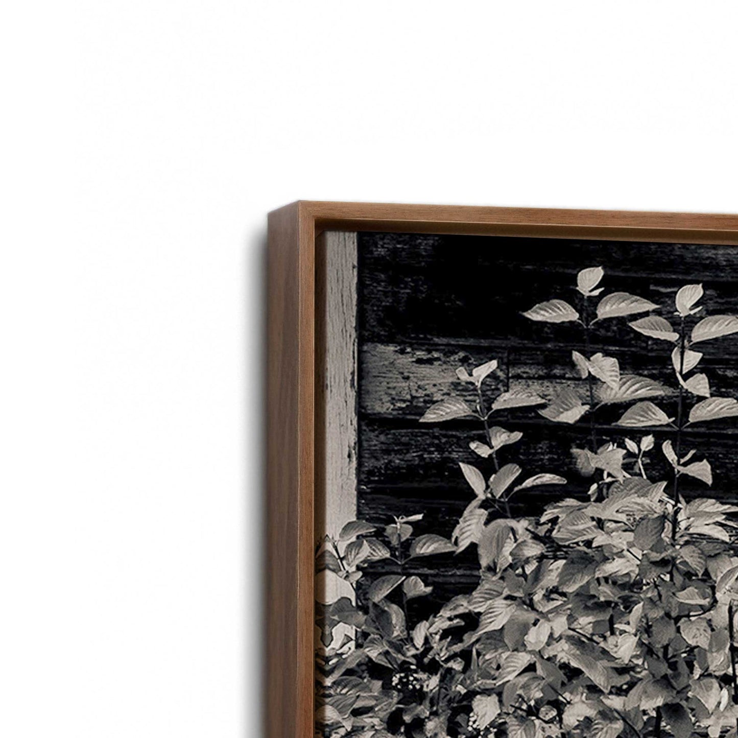 [Color:Walnut], Picture of art in a Walnut frame at an angle