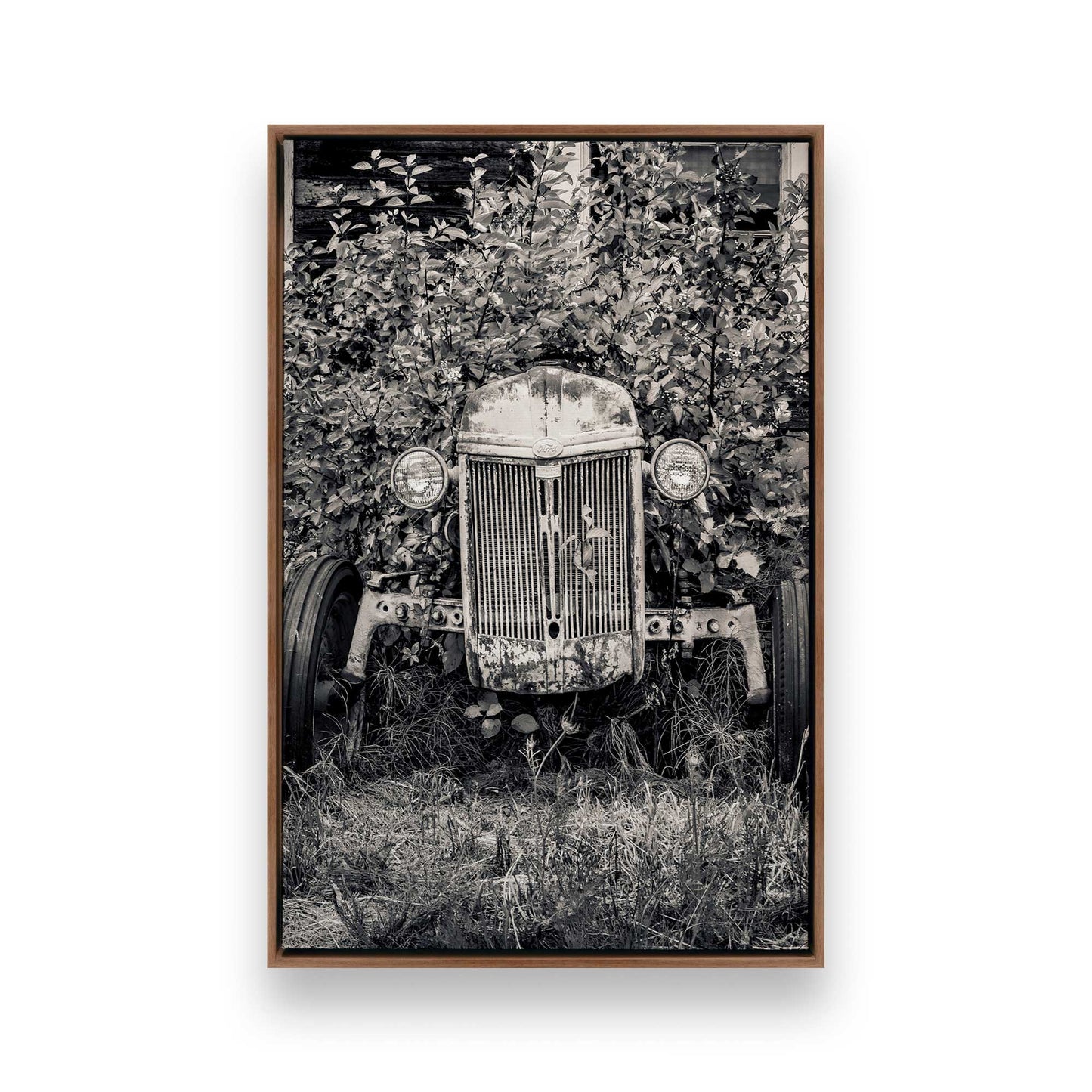 [Color:Walnut], Picture of art in a Walnut frame