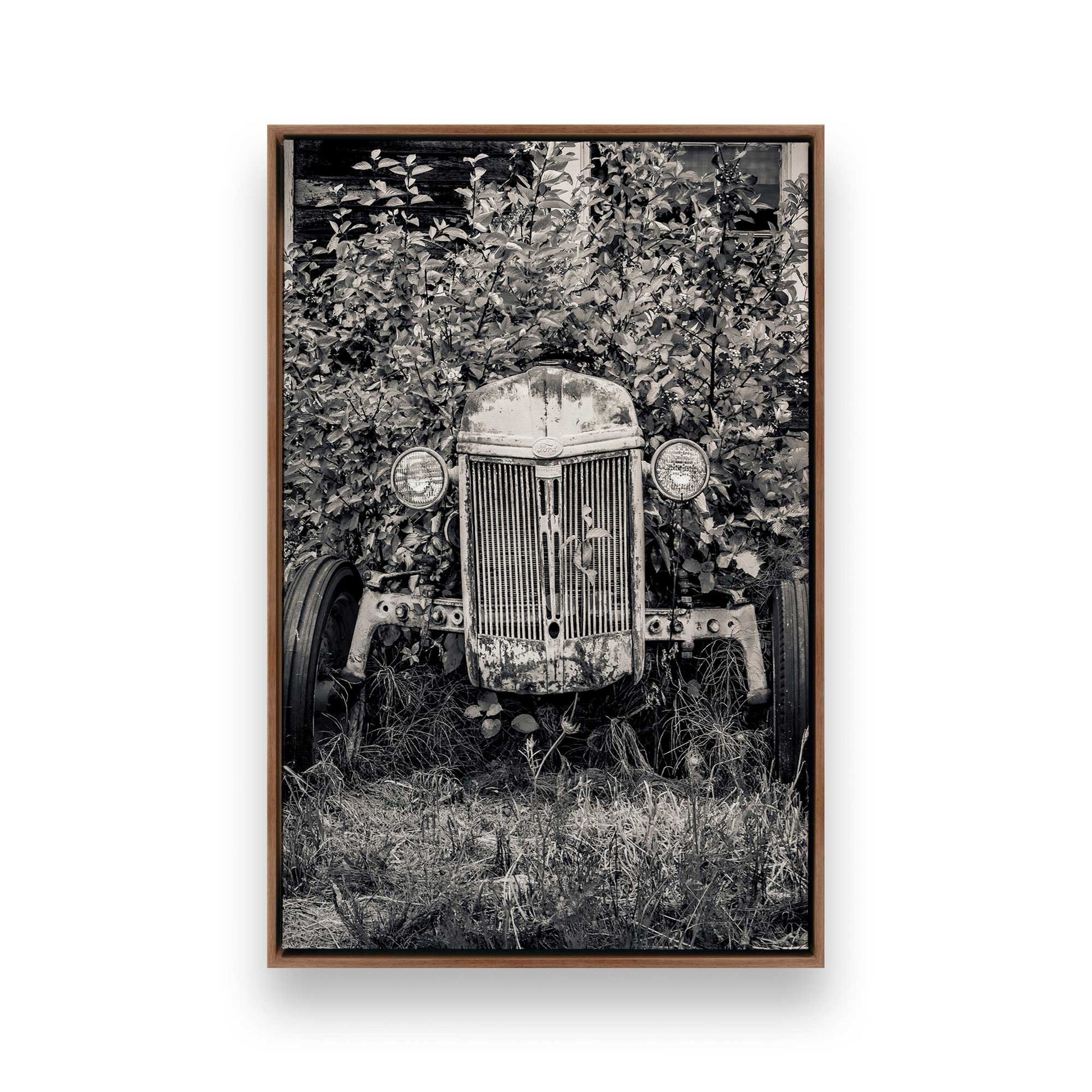 [Color:Walnut], Picture of art in a Walnut frame