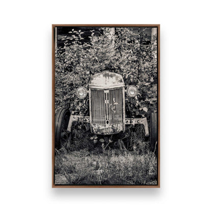 [Color:Walnut], Picture of art in a Walnut frame