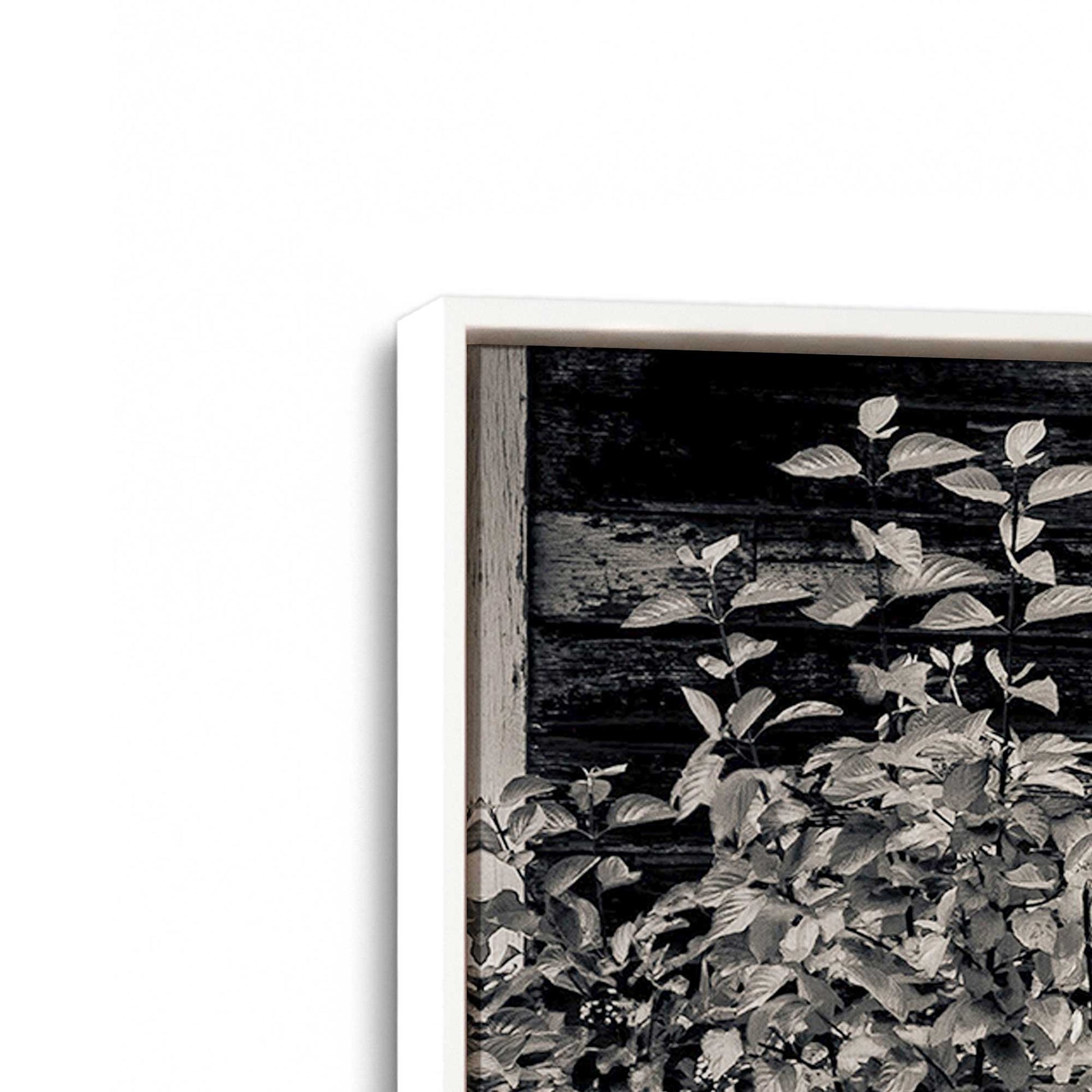 [Color:Opaque White], Picture of art in a White frame at an angle