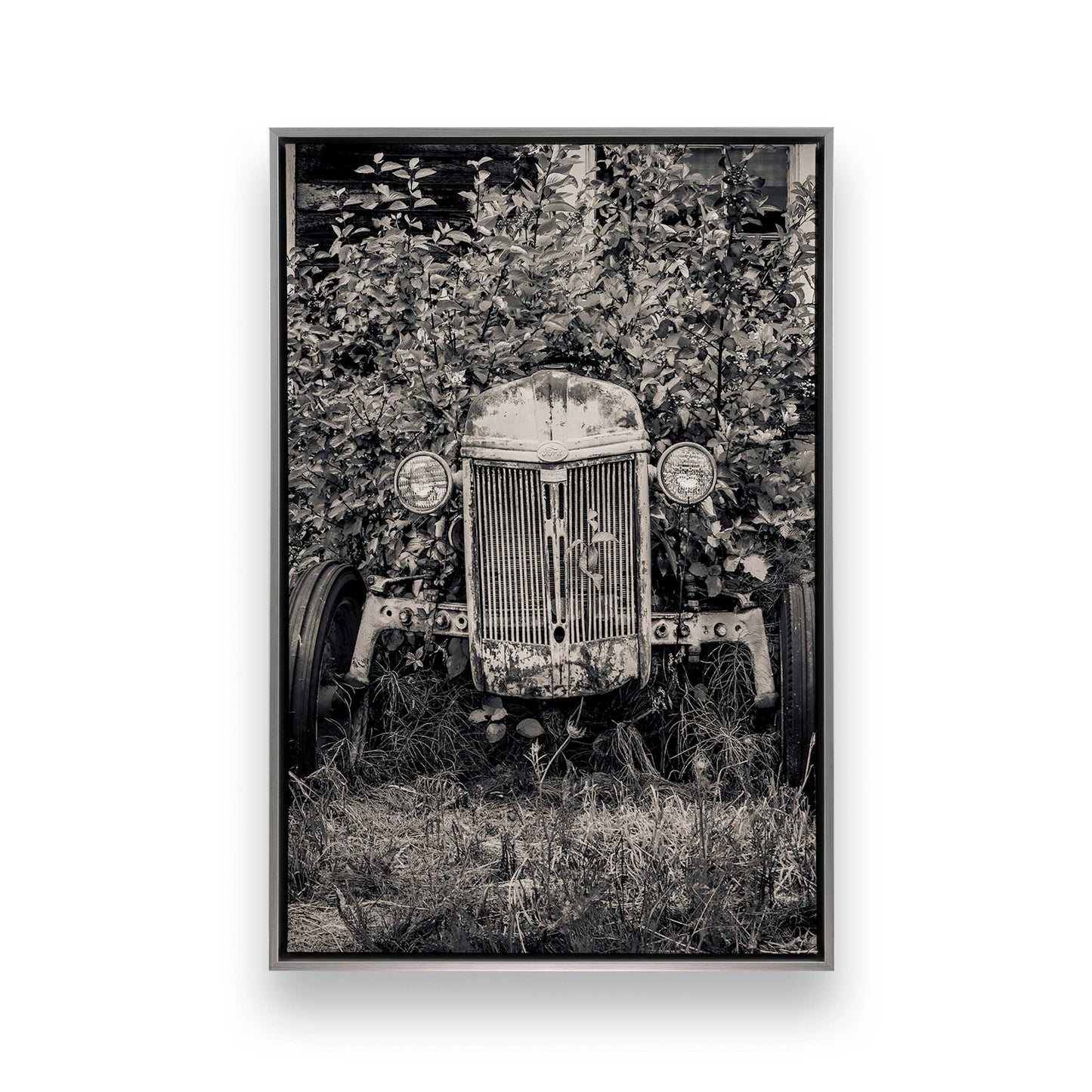 [Color:Polished Chrome], Picture of art in a Polished Chrome frame