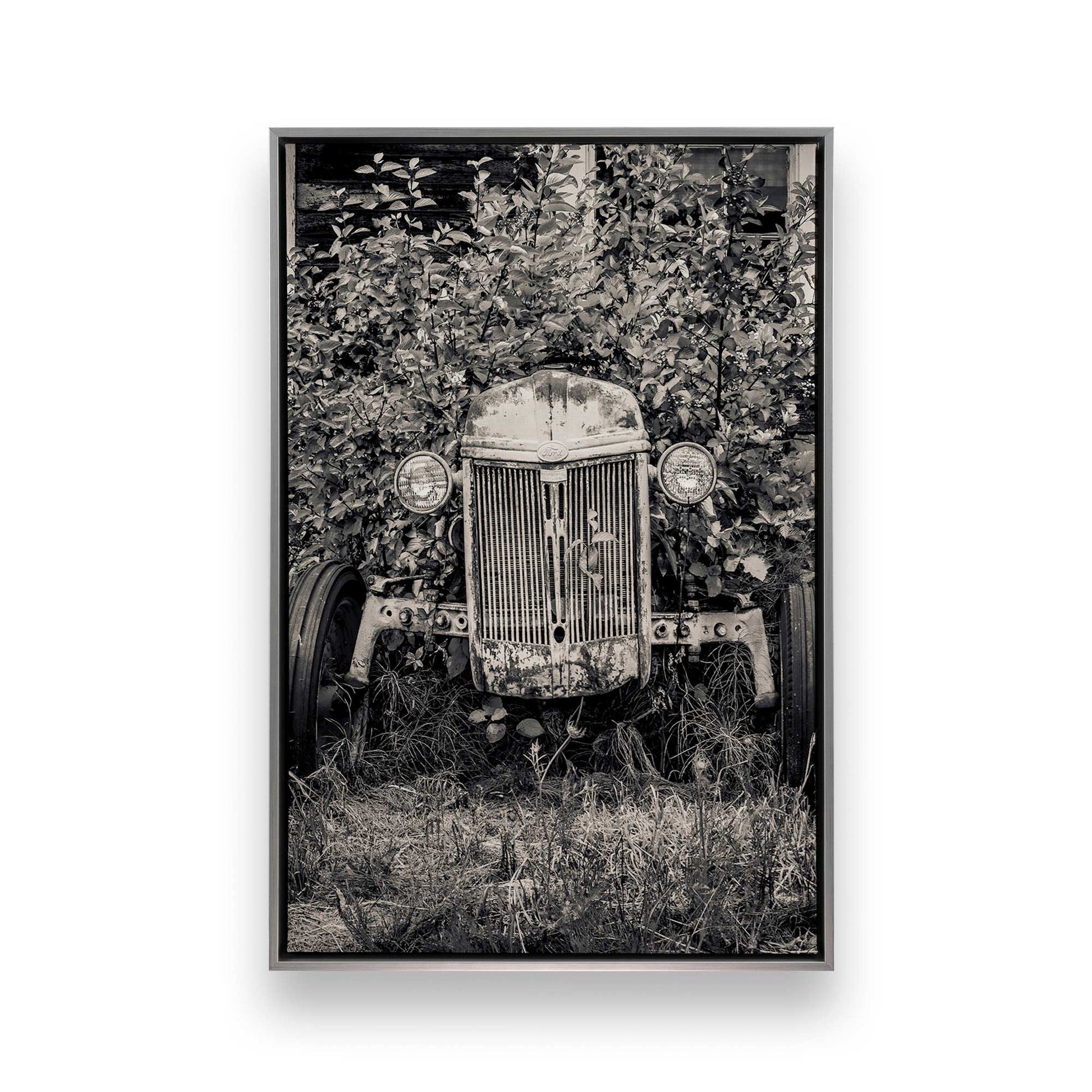 [Color:Polished Chrome], Picture of art in a Polished Chrome frame