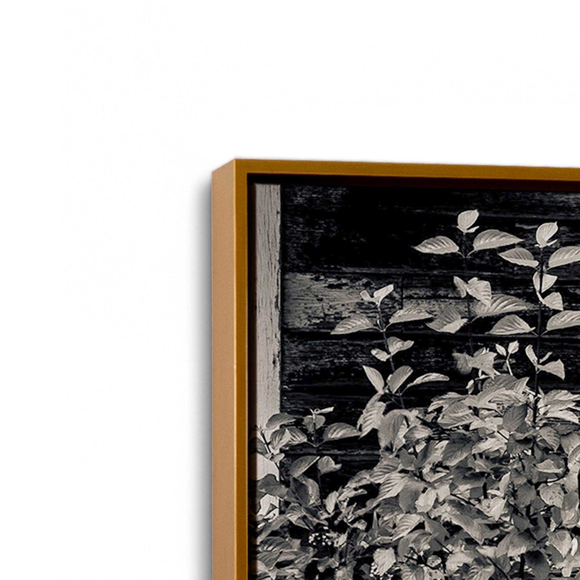 [Color:Polished Gold], Picture of art in a Polished Gold frame at an angle