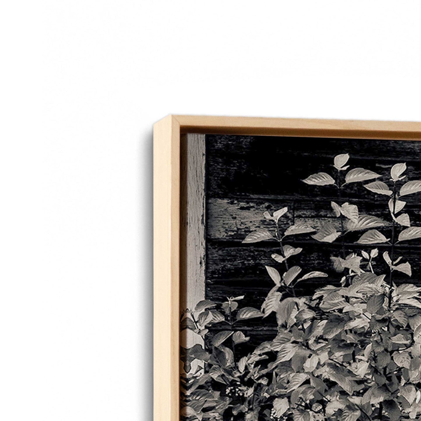 [Color:American Maple], Picture of art in a American Maple frame at an angle