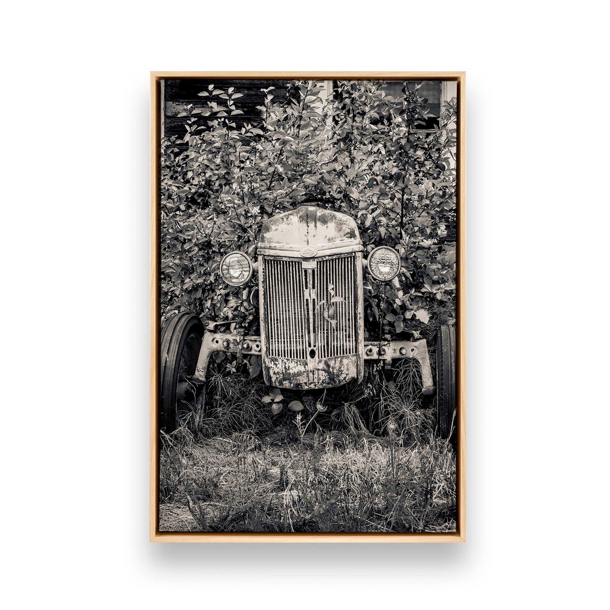 [Color:American Maple], Picture of art in a American Maple frame