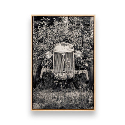 [Color:American Maple], Picture of art in a American Maple frame