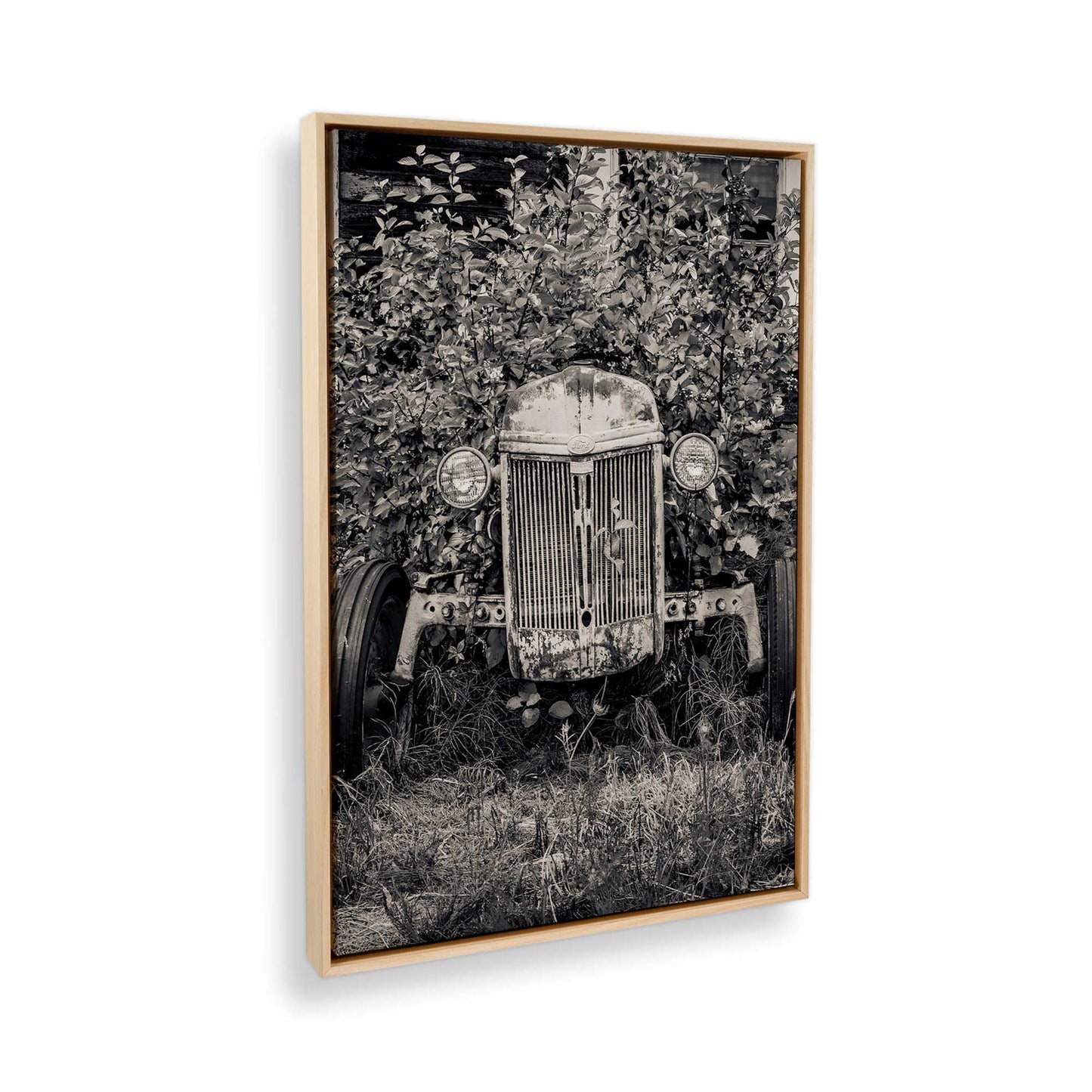 [Color:American Maple], Picture of the corner of the art