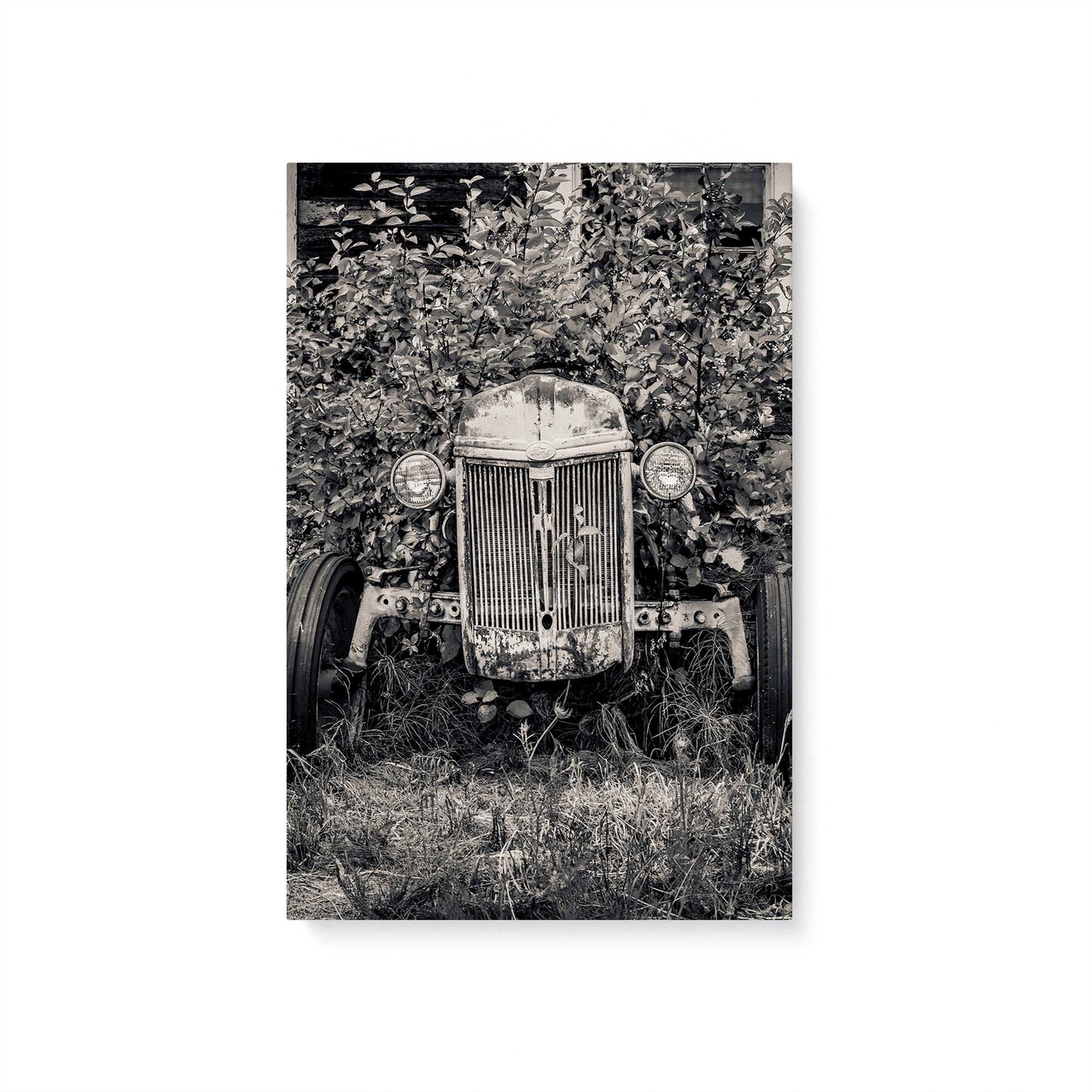 [Color:Stretched Canvas], Picture of art