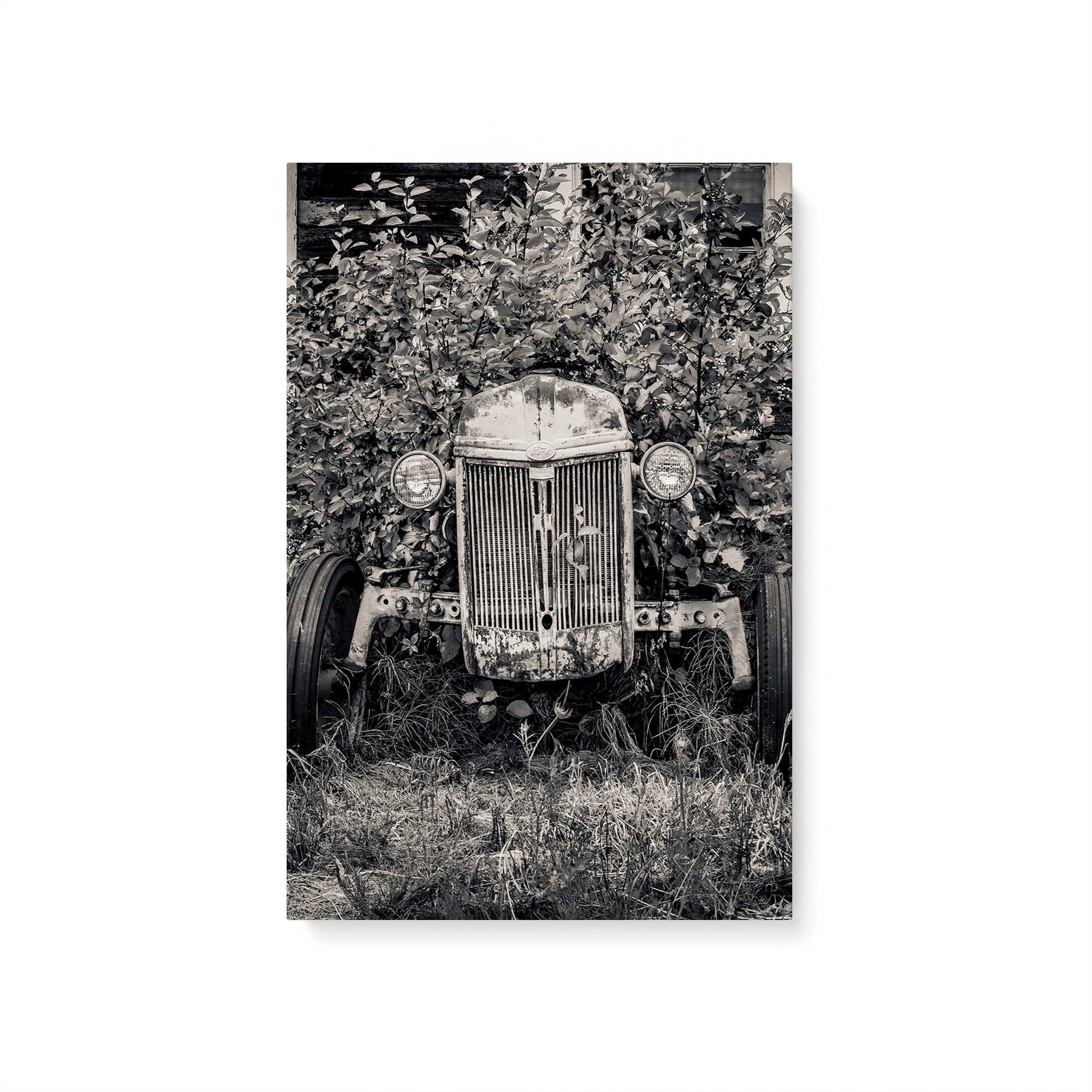 [Color:Stretched Canvas], Picture of art