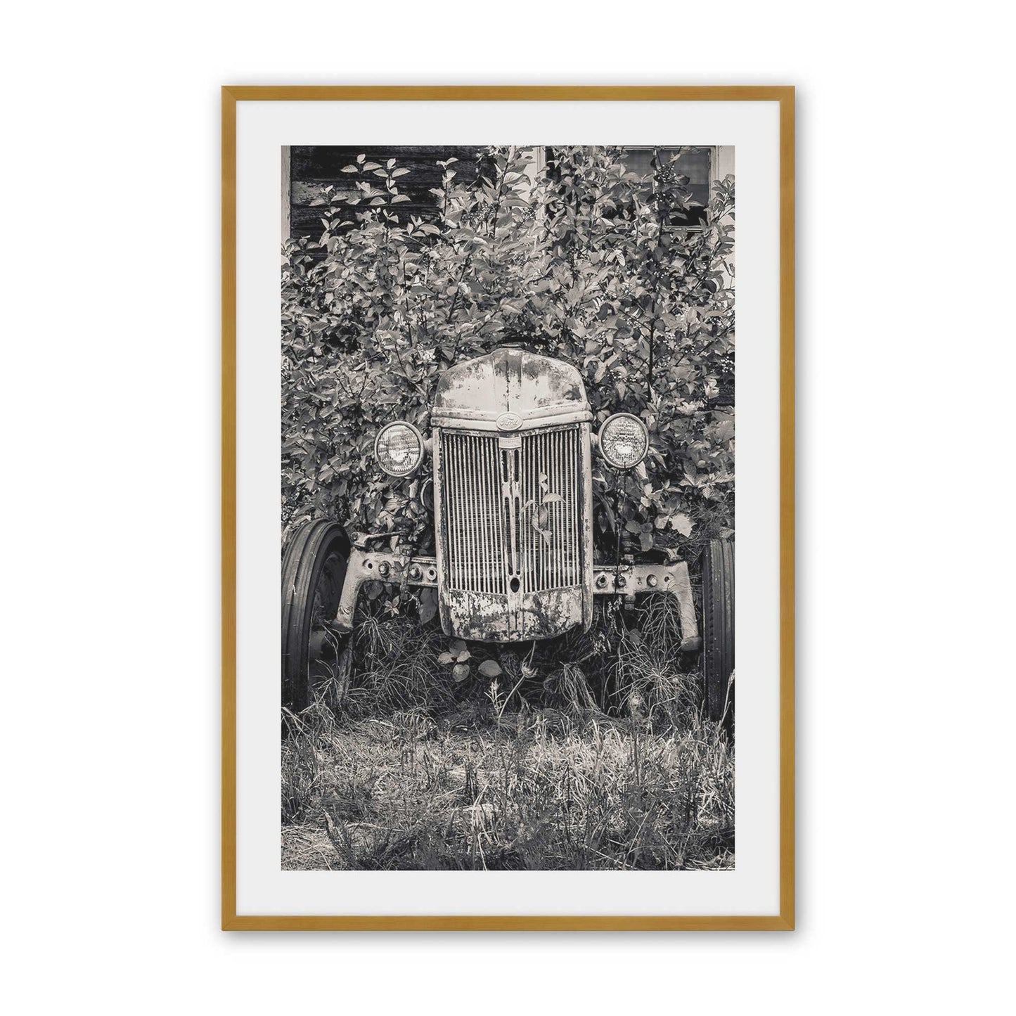 [Color:Polished Gold], Picture of art in a Polished Gold frame