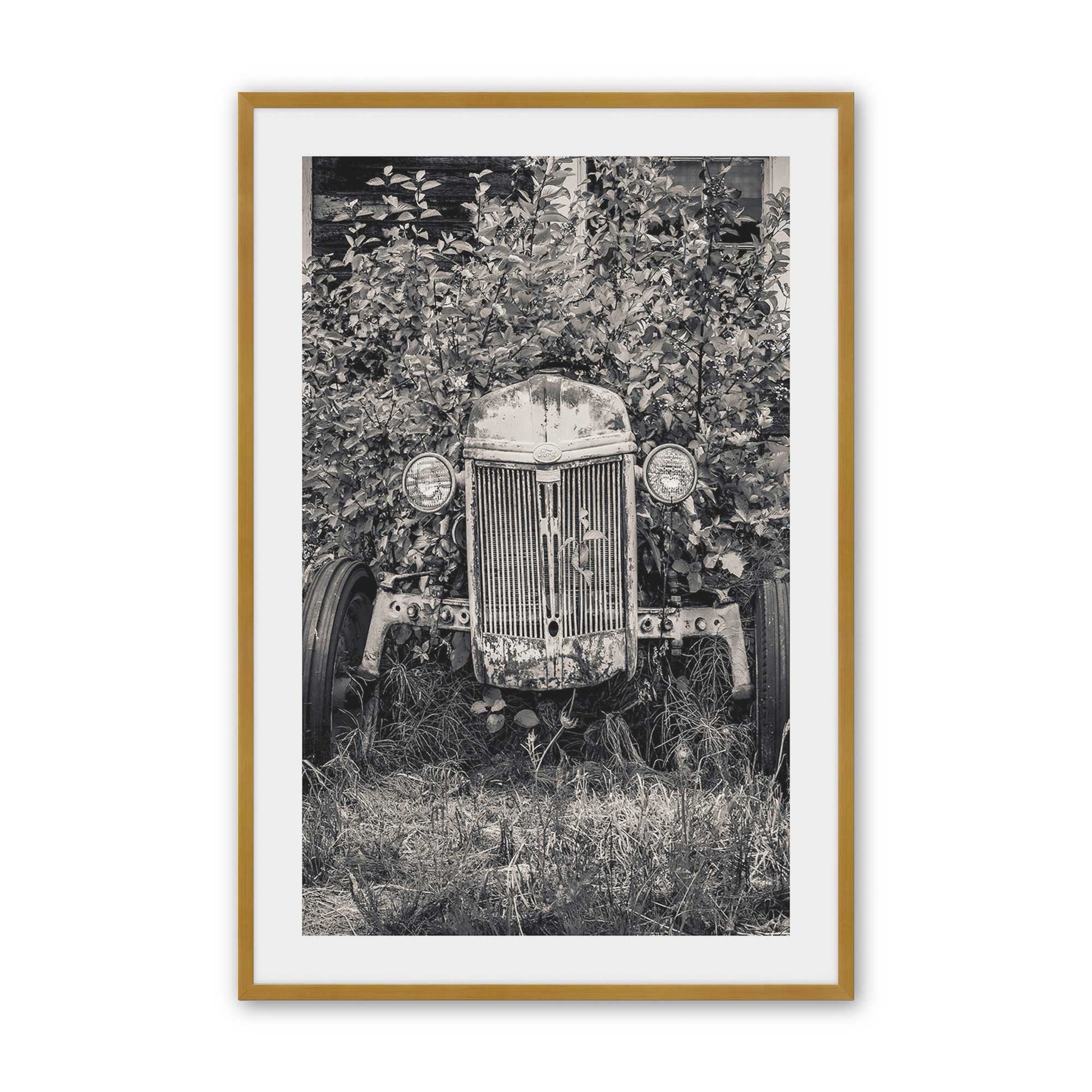 [Color:Polished Gold], Picture of art in a Polished Gold frame