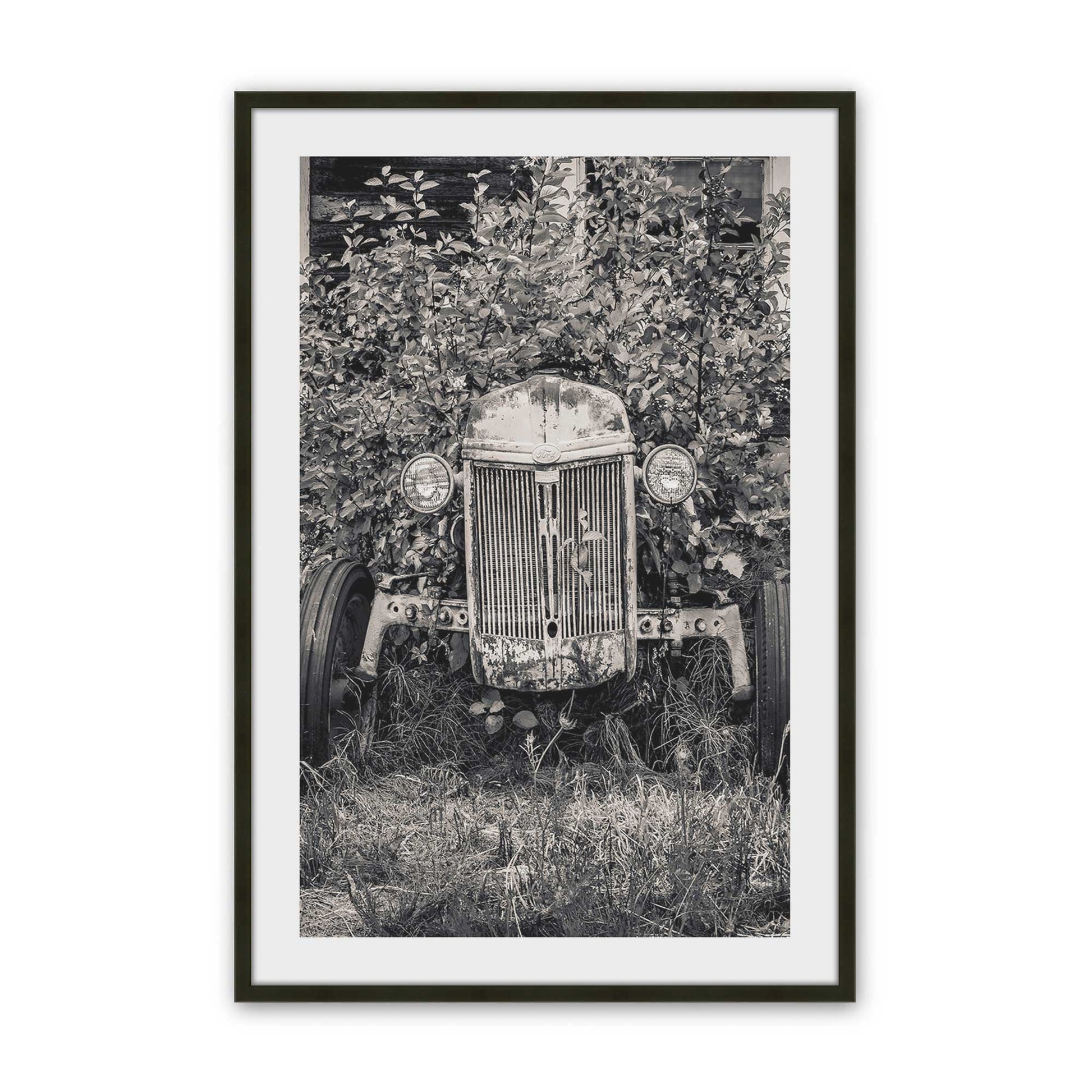 [SPECIAL],[Color:Satin Black],