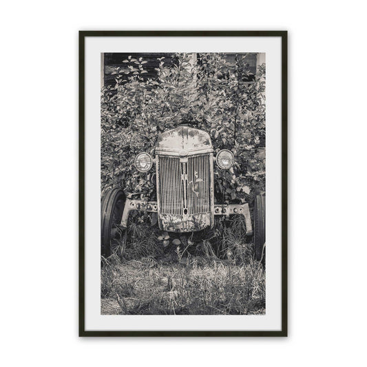 [SPECIAL],[Color:Satin Black],