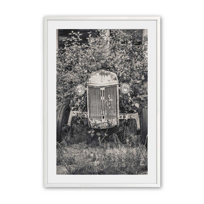 [Color:Opaque White], Picture of art in a Opaque White frame