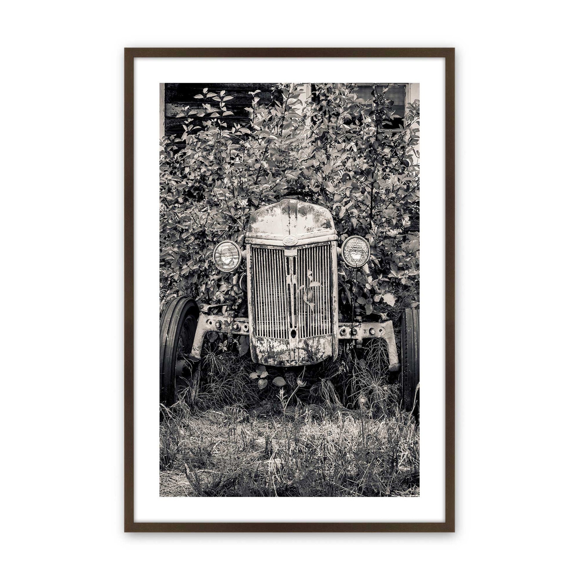 [Color:Brown], Picture of art in a Brown frame