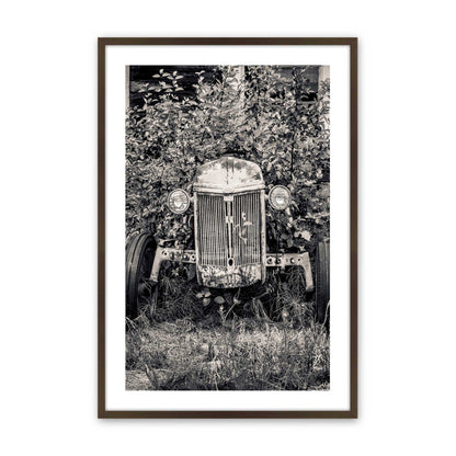 [Color:Brown], Picture of art in a Brown frame